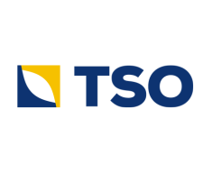 Logo tso